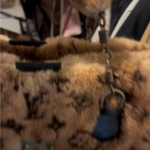 Louis Vuitton Brown Monogram Fur Bag
